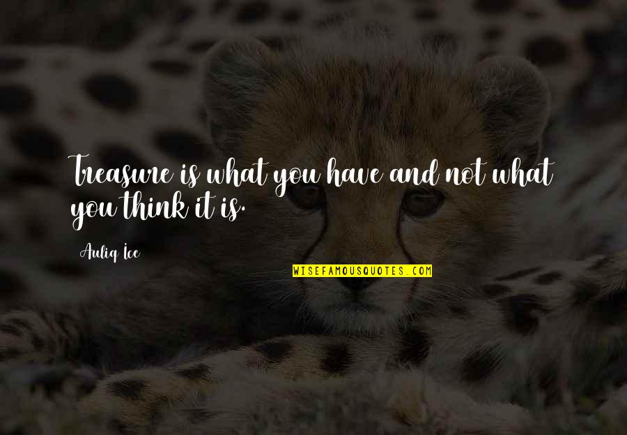 Value What You Have Quotes By Auliq Ice: Treasure is what you have and not what