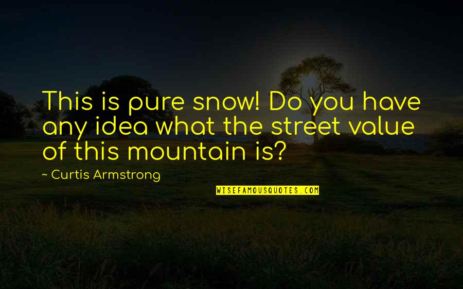 Value What You Have Quotes By Curtis Armstrong: This is pure snow! Do you have any