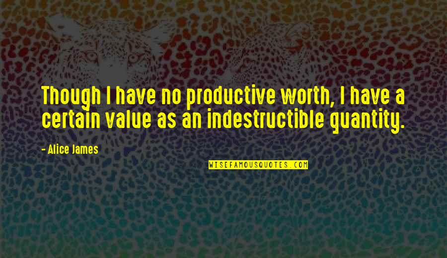 Value Worth Quotes By Alice James: Though I have no productive worth, I have