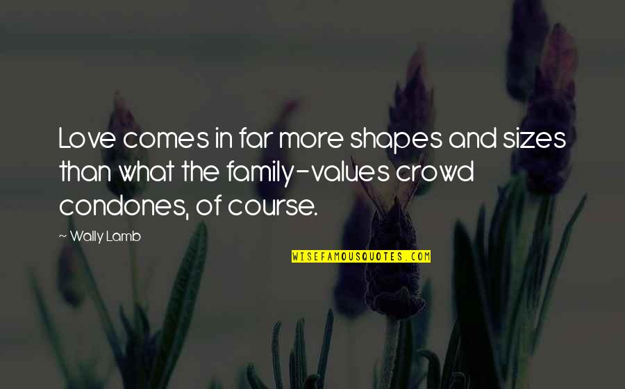 Values And Family Quotes By Wally Lamb: Love comes in far more shapes and sizes