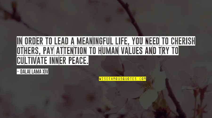 Values And Life Quotes By Dalai Lama XIV: In order to lead a meaningful life, you