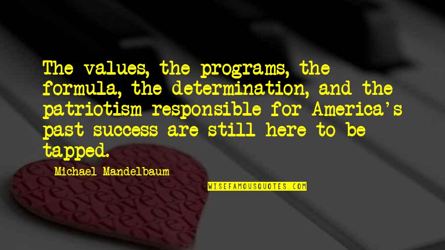 Values And Success Quotes By Michael Mandelbaum: The values, the programs, the formula, the determination,
