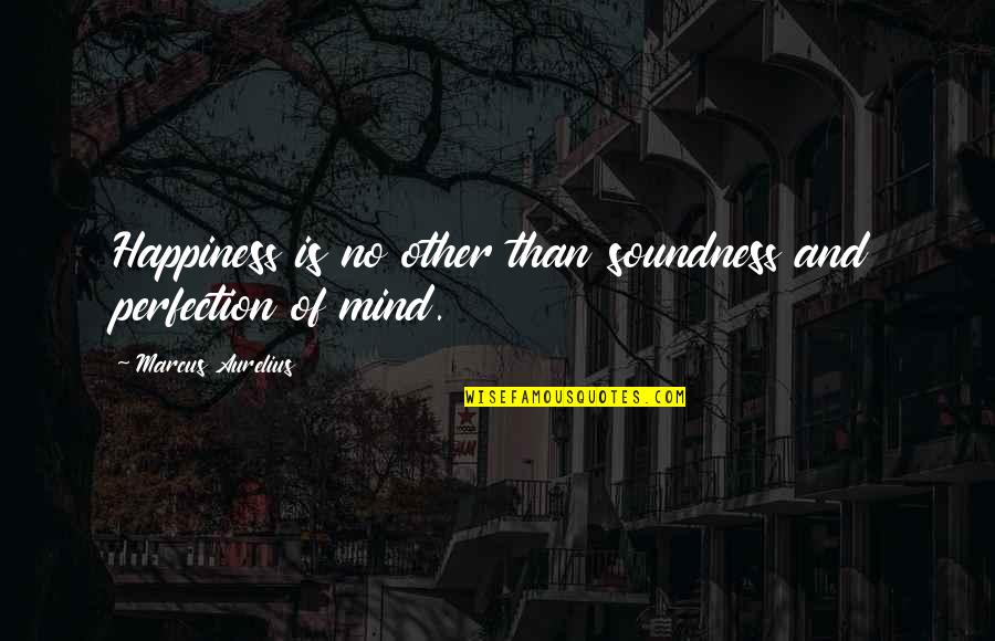 Valutare Monete Quotes By Marcus Aurelius: Happiness is no other than soundness and perfection Valutare Monete Quotes By Marcus Aurelius: Happiness is no other than soundness and perfection