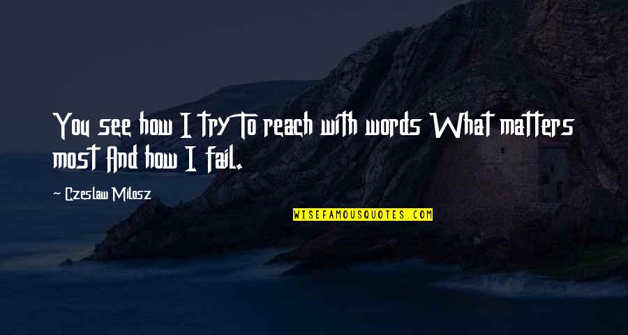 Valutazione Mac Quotes By Czeslaw Milosz: You see how I try To reach with