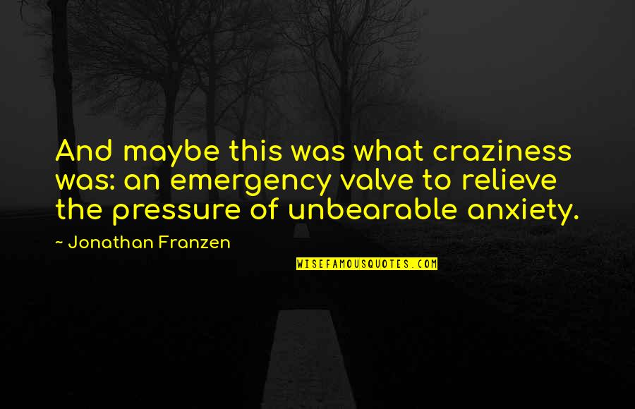 Valve Quotes By Jonathan Franzen: And maybe this was what craziness was: an