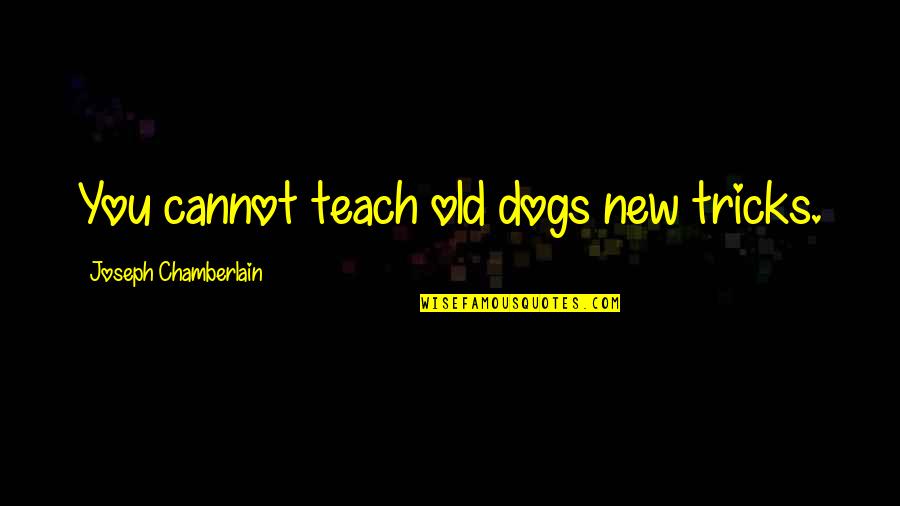 Vampier Quotes By Joseph Chamberlain: You cannot teach old dogs new tricks. Vampier Quotes By Joseph Chamberlain: You cannot teach old dogs new tricks.