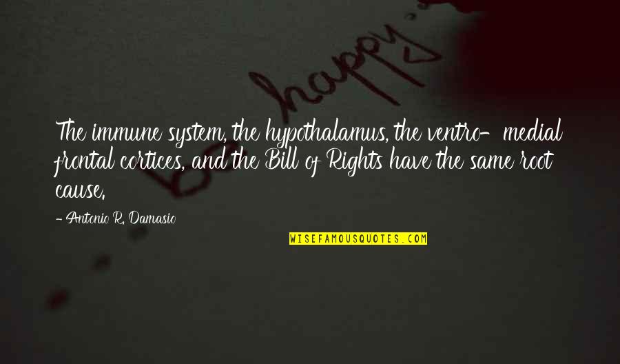 Vampire Queen Quotes By Antonio R. Damasio: The immune system, the hypothalamus, the ventro-medial frontal