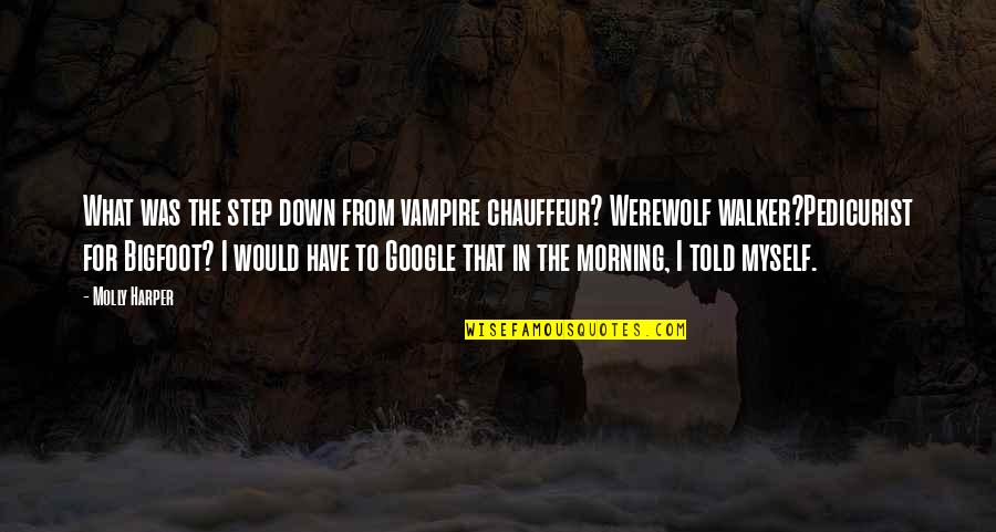 Vampire Werewolf Quotes By Molly Harper: What was the step down from vampire chauffeur?