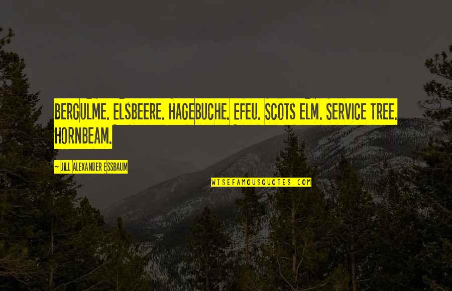 Van Loon Quote Quotes By Jill Alexander Essbaum: Bergulme. Elsbeere. Hagebuche. Efeu. Scots elm. Service tree.