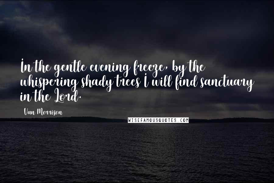 Van Morrison quotes: In the gentle evening freeze, by the whispering shady trees I will find sanctuary in the Lord.