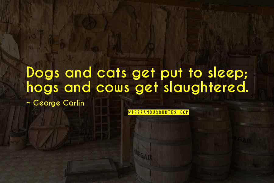 Vance Bourjaily Quotes By George Carlin: Dogs and cats get put to sleep; hogs Vance Bourjaily Quotes By George Carlin: Dogs and cats get put to sleep; hogs