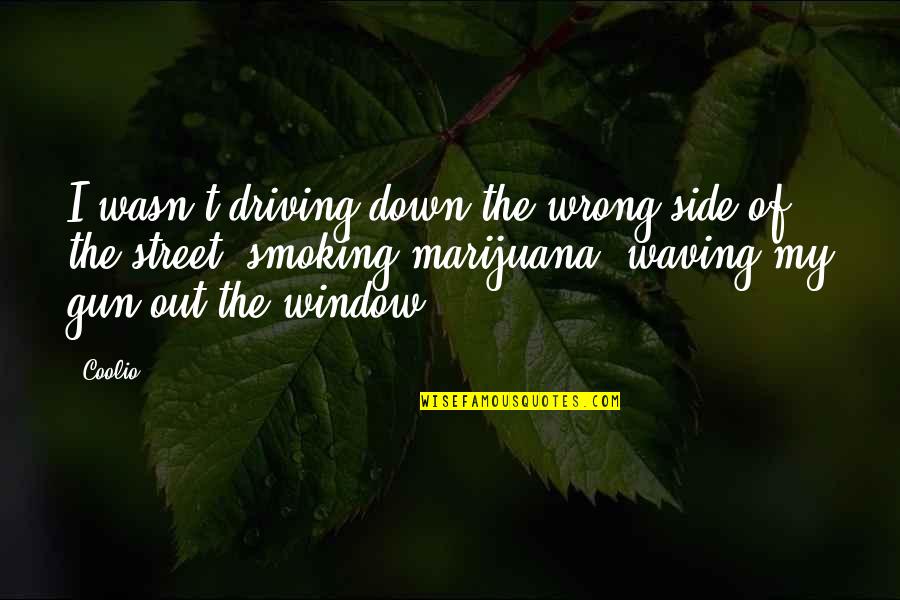 Vandalise Quotes By Coolio: I wasn't driving down the wrong side of Vandalise Quotes By Coolio: I wasn't driving down the wrong side of