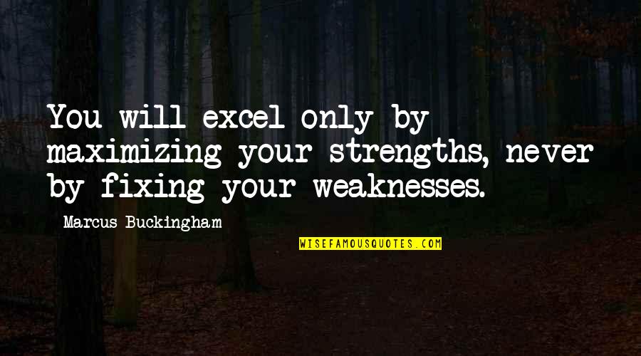 Vandenyno Quotes By Marcus Buckingham: You will excel only by maximizing your strengths,