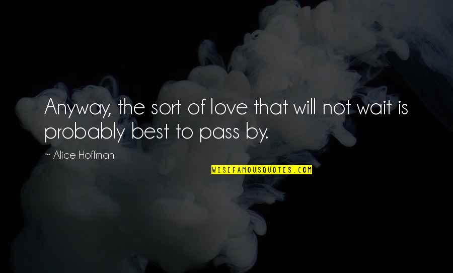 Vander Meulen Builders Quotes By Alice Hoffman: Anyway, the sort of love that will not