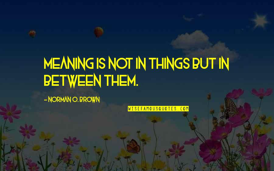 Vanderhaegen Waregem Quotes By Norman O. Brown: Meaning is not in things but in between