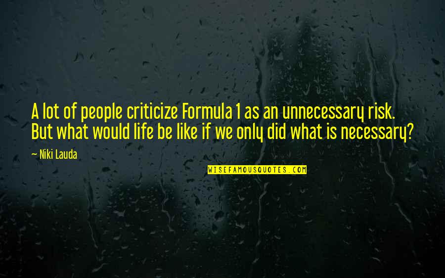 Vanderlei Szczepanik Quotes By Niki Lauda: A lot of people criticize Formula 1 as