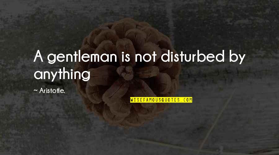Vandermissen Anthony Quotes By Aristotle.: A gentleman is not disturbed by anything