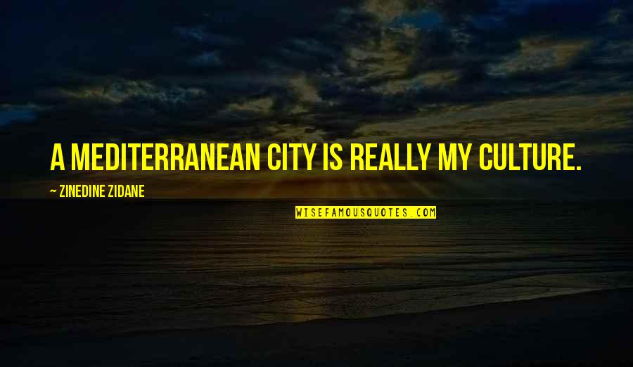 Vanderson Community Quotes By Zinedine Zidane: A Mediterranean city is really my culture. Vanderson Community Quotes By Zinedine Zidane: A Mediterranean city is really my culture.