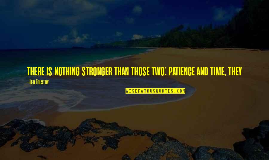 Vanderwaal Singer Quotes By Leo Tolstoy: there is nothing stronger than those two: patience