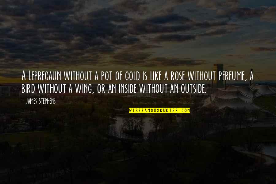 Vanegas Sons Quotes By James Stephens: A Leprecaun without a pot of gold is Vanegas Sons Quotes By James Stephens: A Leprecaun without a pot of gold is