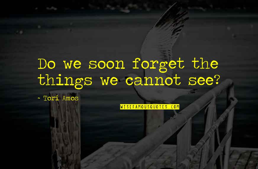 Vangelisti And Knapp Quotes By Tori Amos: Do we soon forget the things we cannot Vangelisti And Knapp Quotes By Tori Amos: Do we soon forget the things we cannot
