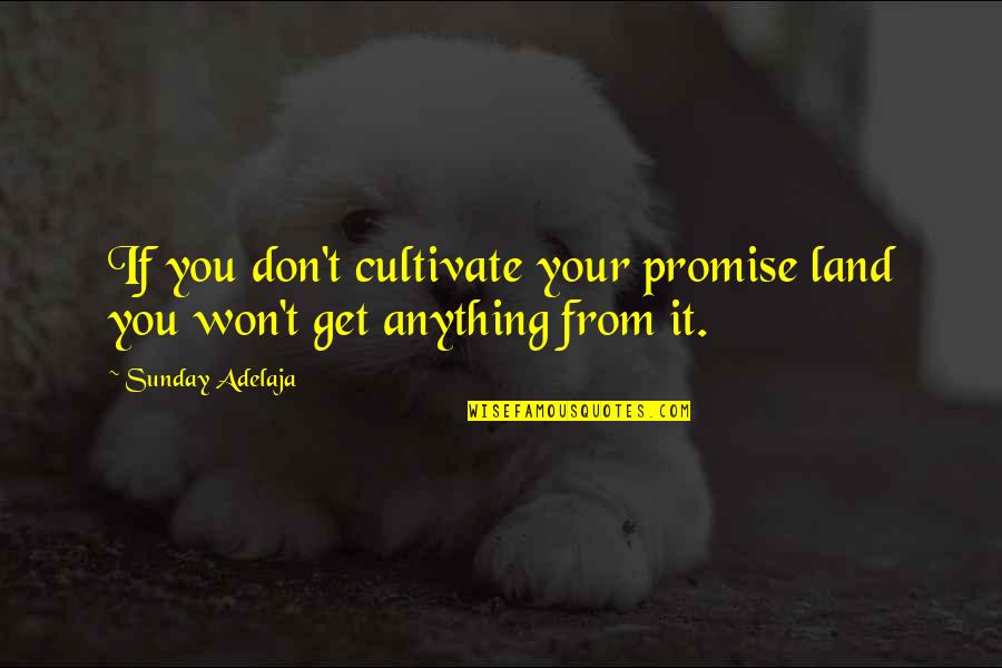 Vanguards Armory Quotes By Sunday Adelaja: If you don't cultivate your promise land you