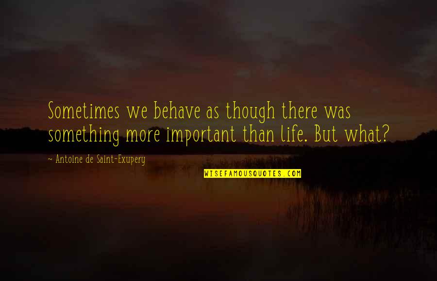 Vanhooren Polyester Quotes By Antoine De Saint-Exupery: Sometimes we behave as though there was something Vanhooren Polyester Quotes By Antoine De Saint-Exupery: Sometimes we behave as though there was something