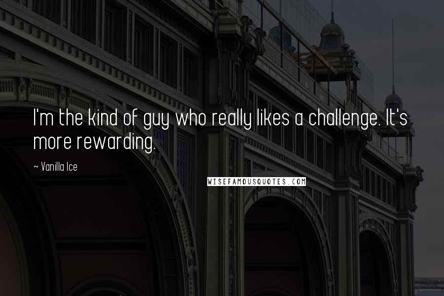 Vanilla Ice quotes: I'm the kind of guy who really likes a challenge. It's more rewarding.