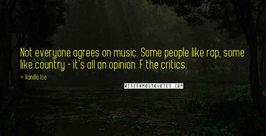 Vanilla Ice quotes: Not everyone agrees on music. Some people like rap, some like country - it's all an opinion. F the critics.