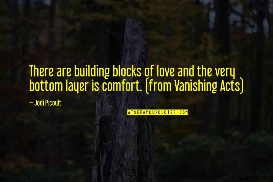 Vanishing Acts Quotes By Jodi Picoult: There are building blocks of love and the