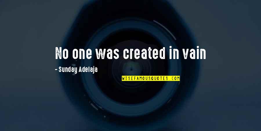 Vanity In Life Quotes By Sunday Adelaja: No one was created in vain