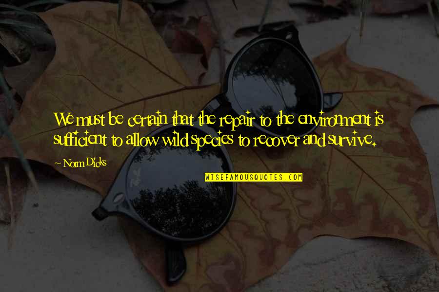 Vanlig Celldelning Quotes By Norm Dicks: We must be certain that the repair to Vanlig Celldelning Quotes By Norm Dicks: We must be certain that the repair to