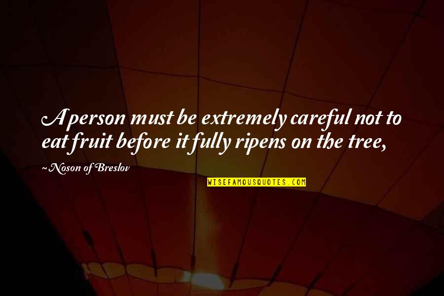 Vanoza Tube Quotes By Noson Of Breslov: A person must be extremely careful not to