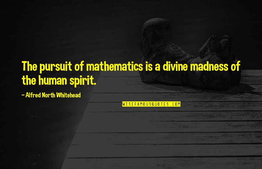 Vanquish Game Quotes By Alfred North Whitehead: The pursuit of mathematics is a divine madness