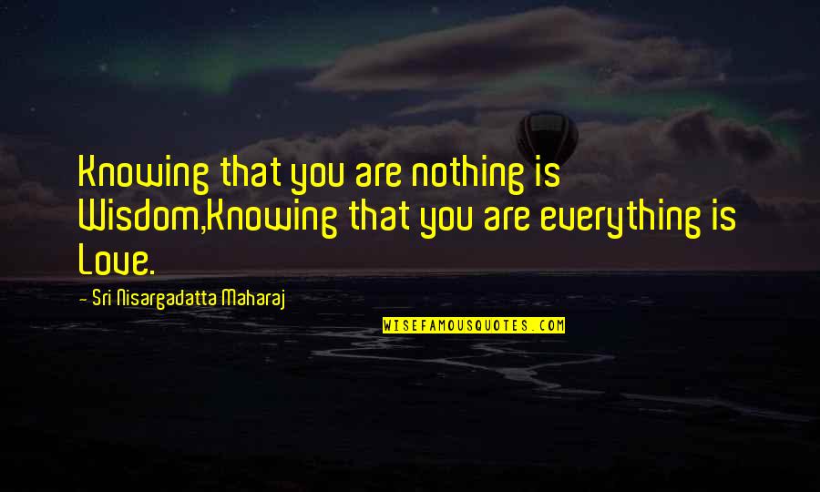 Vansantent Quotes By Sri Nisargadatta Maharaj: Knowing that you are nothing is Wisdom,Knowing that