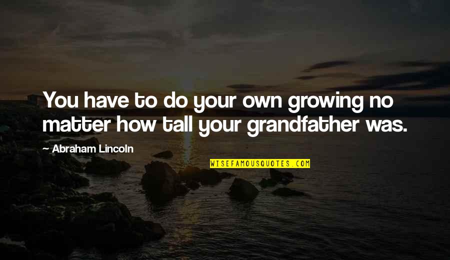 Vansteenkiste Farm Quotes By Abraham Lincoln: You have to do your own growing no