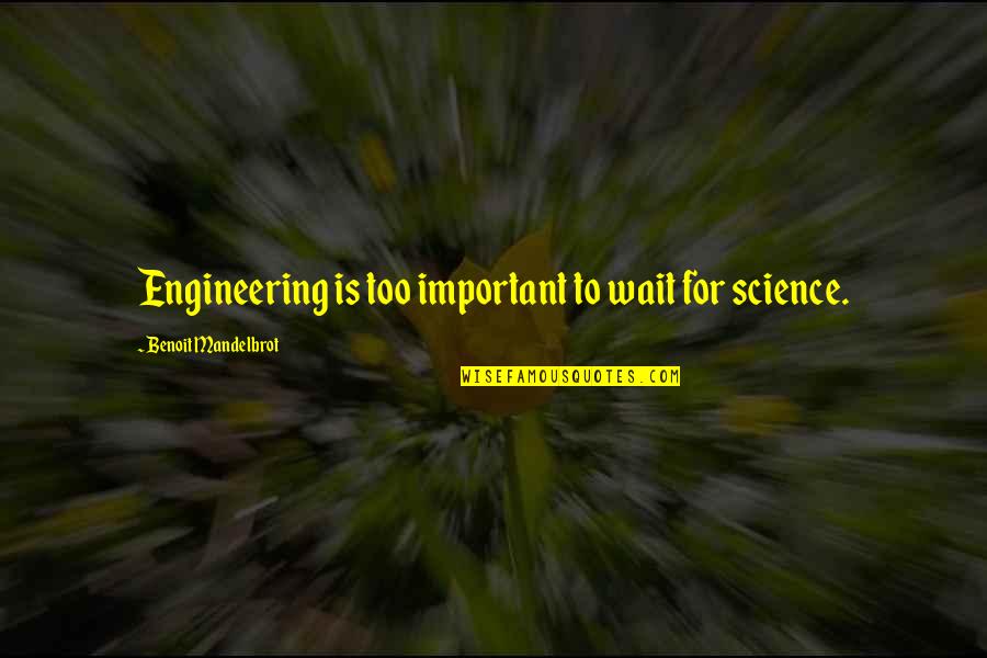 Vanzini Propiedades Quotes By Benoit Mandelbrot: Engineering is too important to wait for science. Vanzini Propiedades Quotes By Benoit Mandelbrot: Engineering is too important to wait for science.
