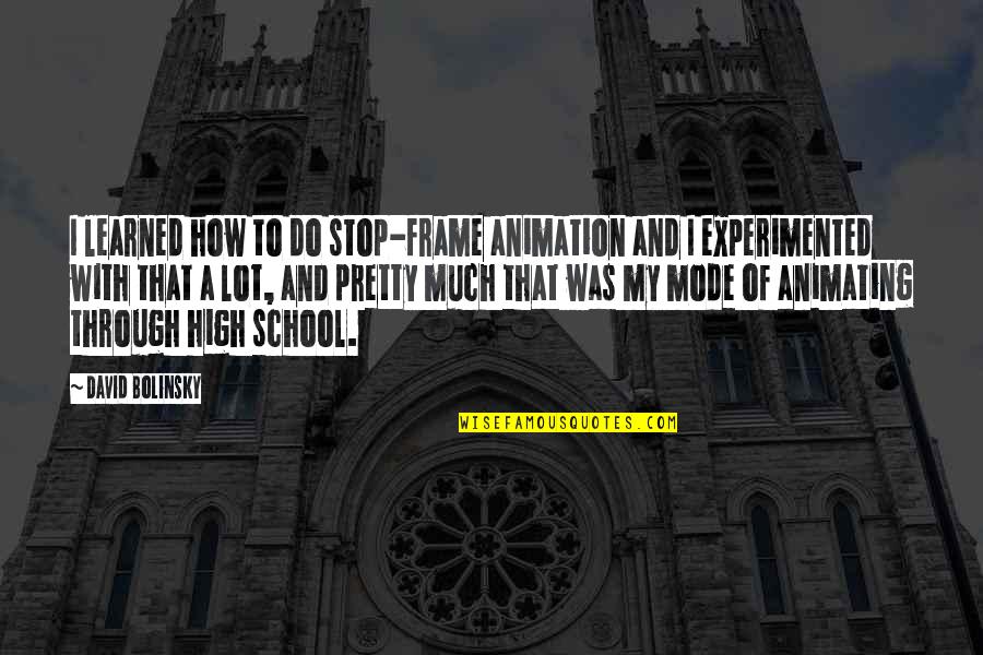 Vaqueiros Do Brasil Quotes By David Bolinsky: I learned how to do stop-frame animation and