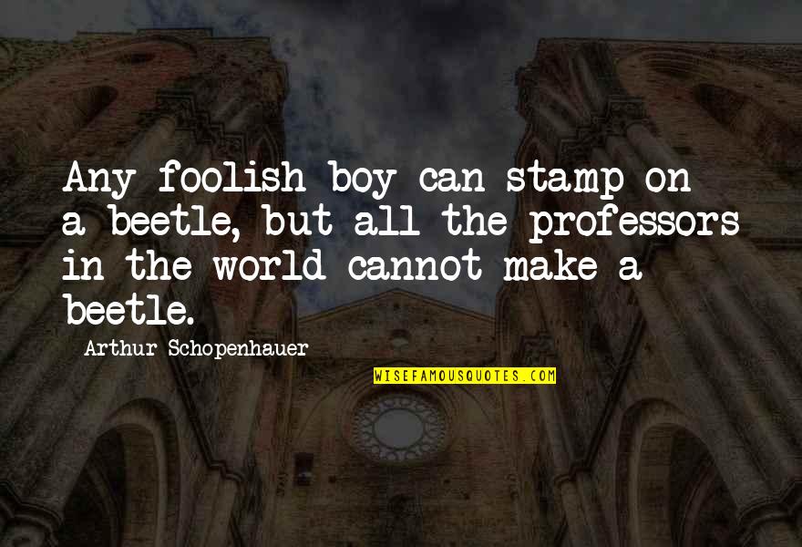 Varadaraj Pai Quotes By Arthur Schopenhauer: Any foolish boy can stamp on a beetle, Varadaraj Pai Quotes By Arthur Schopenhauer: Any foolish boy can stamp on a beetle,