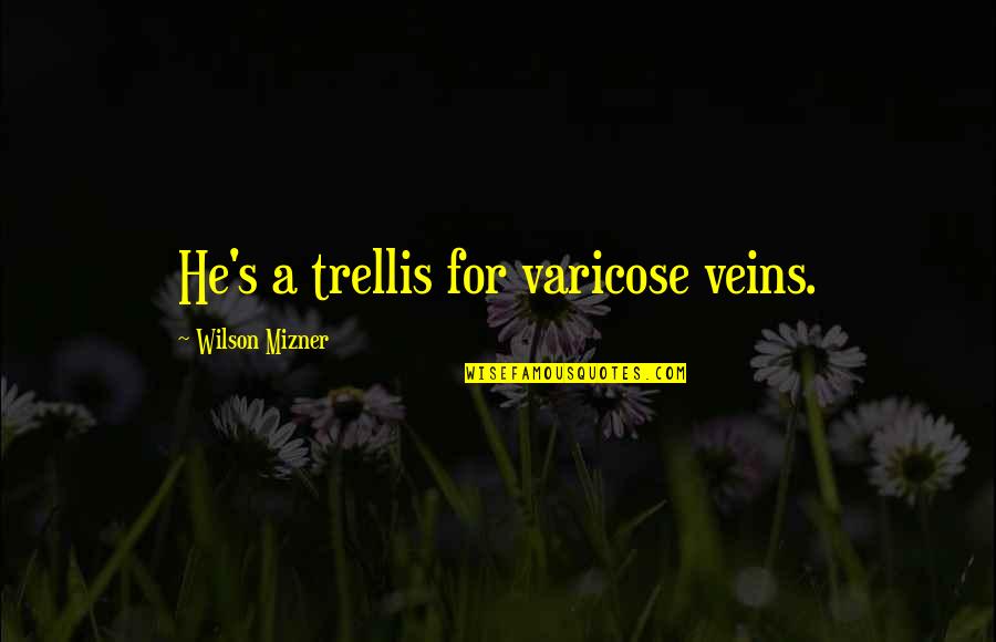 Varicose Quotes By Wilson Mizner: He's a trellis for varicose veins.