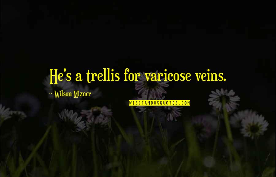 Varicose Veins Quotes By Wilson Mizner: He's a trellis for varicose veins. Varicose Veins Quotes By Wilson Mizner: He's a trellis for varicose veins.