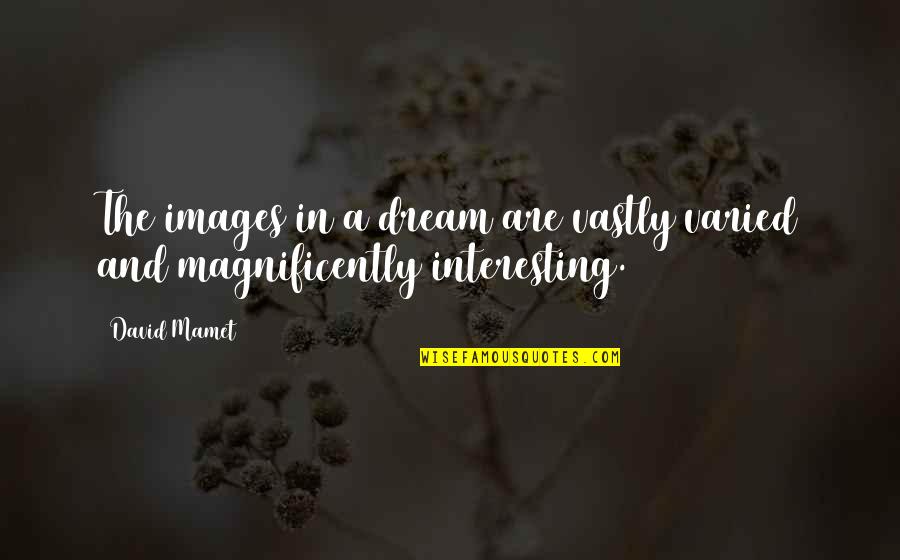 Varied Quotes By David Mamet: The images in a dream are vastly varied Varied Quotes By David Mamet: The images in a dream are vastly varied