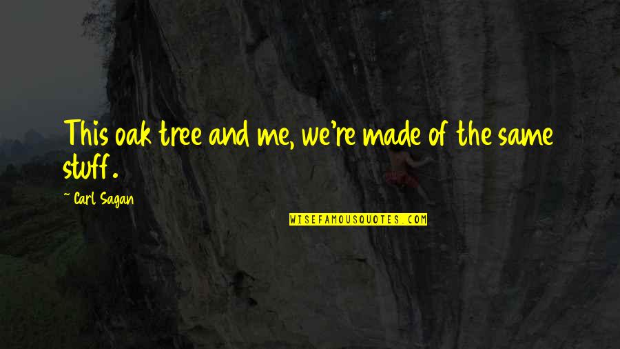 Varien Lilith Quotes By Carl Sagan: This oak tree and me, we're made of Varien Lilith Quotes By Carl Sagan: This oak tree and me, we're made of