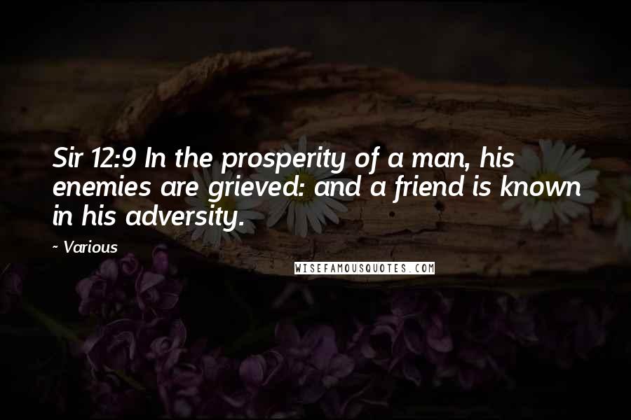 Various quotes: Sir 12:9 In the prosperity of a man, his enemies are grieved: and a friend is known in his adversity.