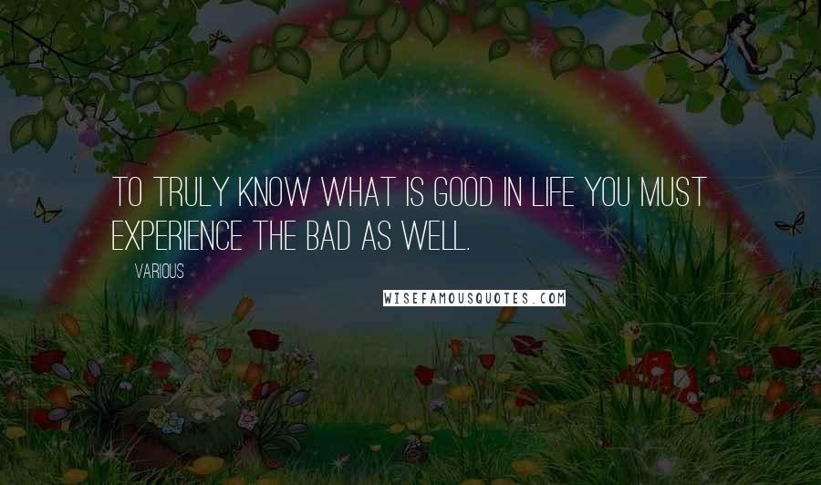 Various quotes: To truly know what is good in life you must experience the bad as well.