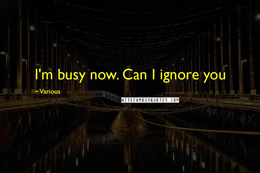 Various quotes: I'm busy now. Can I ignore you