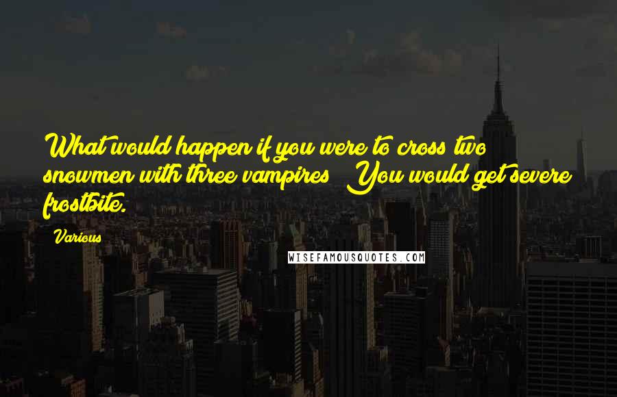 Various quotes: What would happen if you were to cross two snowmen with three vampires? You would get severe frostbite.