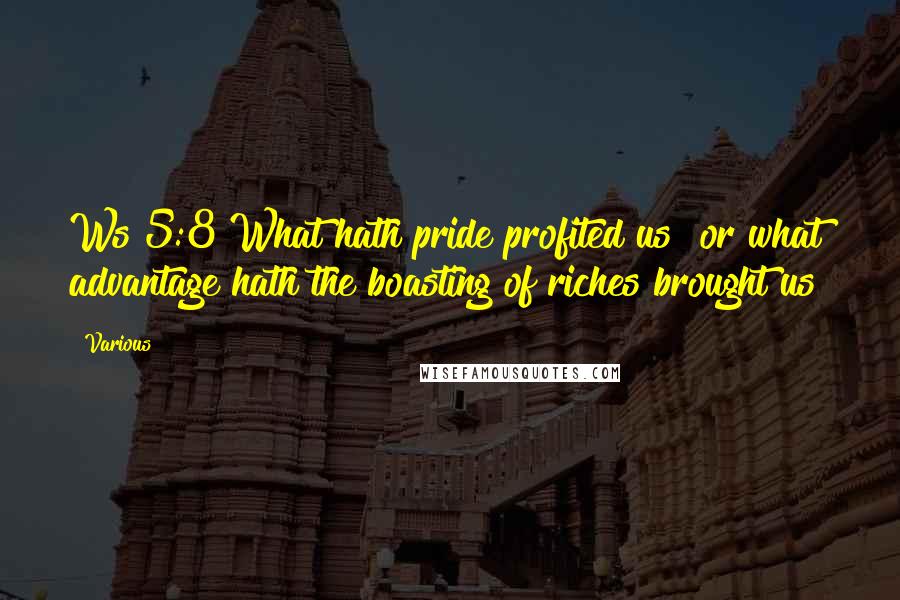 Various quotes: Ws 5:8 What hath pride profited us? or what advantage hath the boasting of riches brought us?