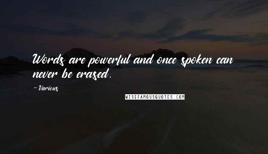 Various quotes: Words are powerful and once spoken can never be erased.
