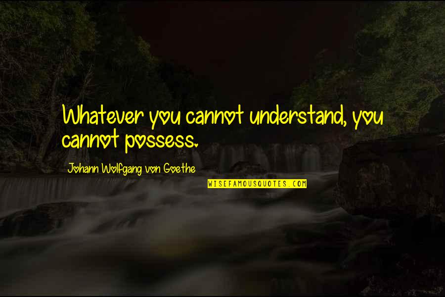 Various Types Of Quotes By Johann Wolfgang Von Goethe: Whatever you cannot understand, you cannot possess.